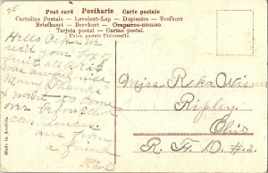 Embossed Large Letter Florence Davis Fountain Rose c1915 Name Postcard