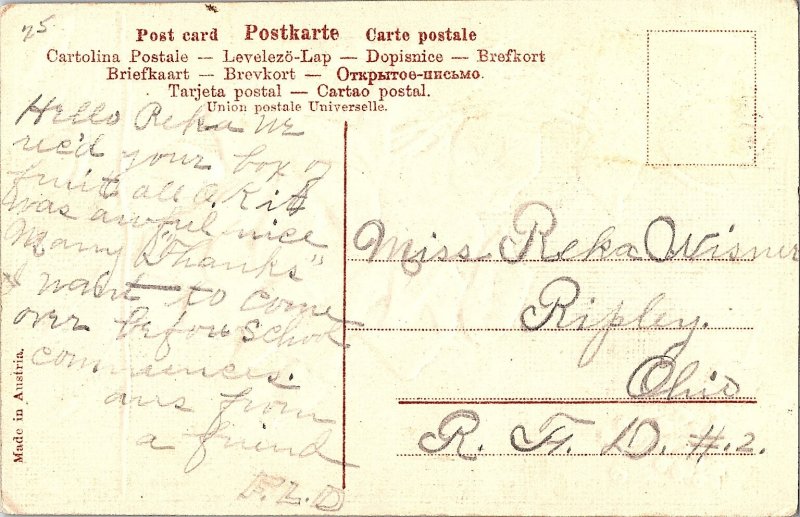 Embossed Large Letter Florence Davis Fountain Rose c1915 Name Postcard