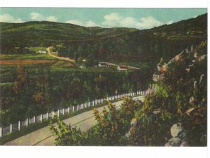 Route 66 In The Beautiful Missouri Ozarks, Chrome Reproduction Postcard