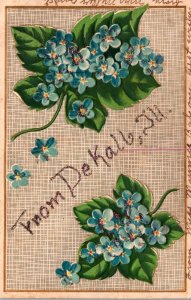 Illinois DeKalb Greetings With Flowers 1907