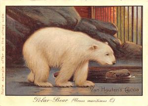 Advertising Post Card Van Houten's Cocoa Tradecard backing, Polar Bear U...