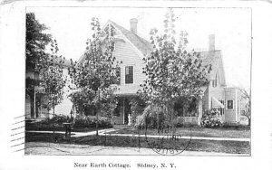 Near Earth Cottage in Sidney, New York