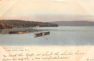 Culvers Lake New Jersey Lake View, Undivided Back Vintage Postcard U11371