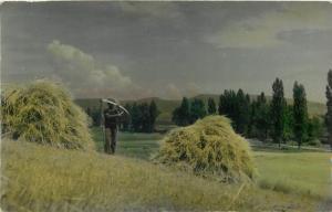 Agriculture man with scythe vintage real photo