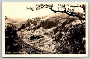 RPPC Real Photo Postcard - Waimea Canyon   Kauai, Hawaii