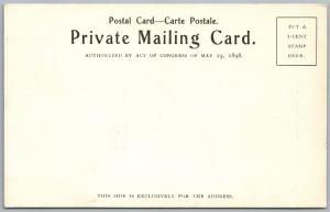 WAYMART PA STREET VIEW UNDIVIDED ANTIQUE POSTCARD PRIVATE MAILING CARD