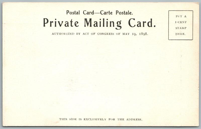 WAYMART PA STREET VIEW UNDIVIDED ANTIQUE POSTCARD PRIVATE MAILING CARD