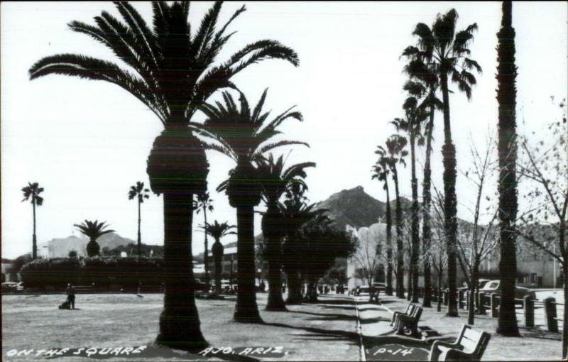 Ajo AZ Real Photo Postcard ON THE SQUARE