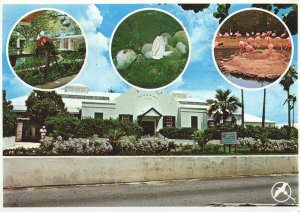 VINTAGE CONTINENTAL SIZE POSTCARD AQUARIUM & MUSEUM BERMUDA MAILED 1984