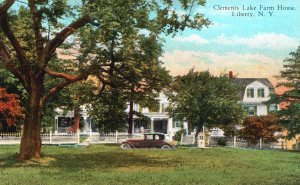 Vintage Postcard Clements Lake Farm House Liberty New York NY Otto Hillig Pub.