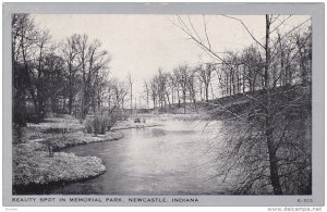 Natural Scenery, Beauty Spot in Memorial Park, Newcastle, Indiana, 40-60´s