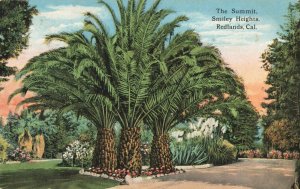 Postcard The Summit Smiley Heights Redlands California