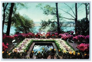 c1960's  Bellingrath Gardens Pool In Front Mobile Alabama AL Unposted Postcard