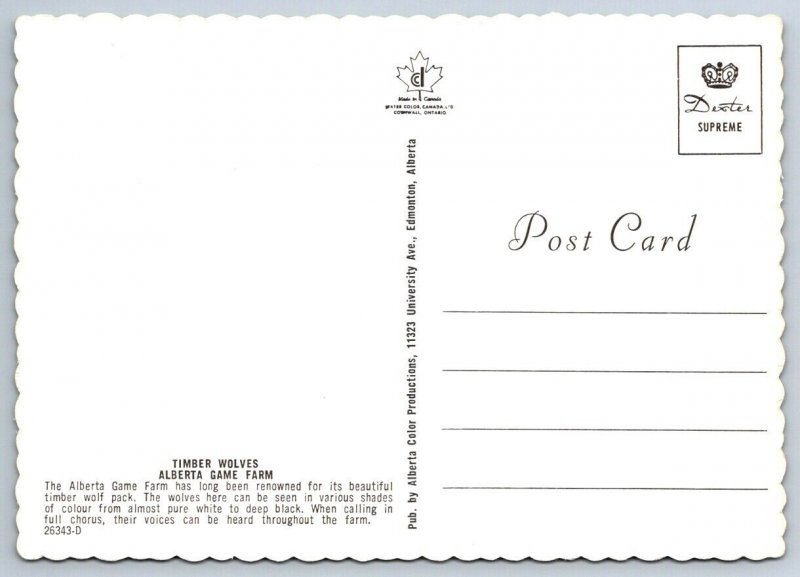 Timber Wolves, Alberta Game Farm, Edmonton Alberta Canada, Chrome Postcard, NOS