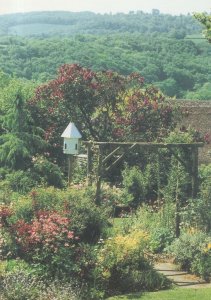 The Walled Gardens Tea Rooms Dunsford Post Office Devon Postcard
