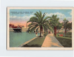 Postcard Promenade Along Hillsboro River, Plant Park, Tampa, Florida