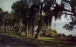 Indian River Drive - Cocoa, Florida FL Postcard