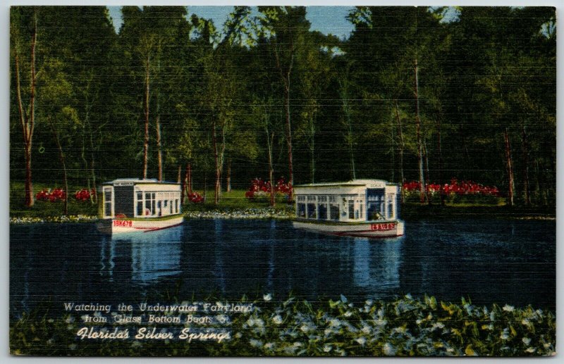 Watching the Underwater Fairyland from Glass Bottom Boats, Florida -  Postcard 