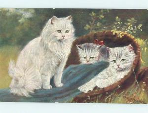 Divided-Back foreign signed THREE BEAUTIFUL WHITE CATS IN BASKET o8587