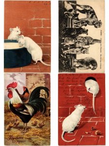 ANIMALS ANIMAUX MIX 300 CPA Pre - 1940