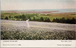 Tea Hill Prince Edward Island Looking Seaward Garden of Gulf Series Postcard H7