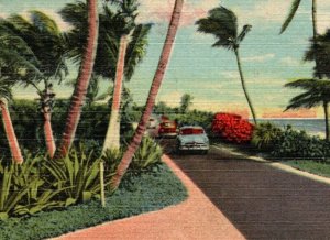 Vintage 1953 Postcard Motoring Along the Atlantic, Palm Beach to Lake Worth, FL