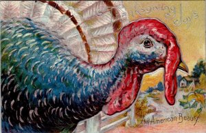 Thanksgiving Turkey An American Beauty Embossed Silver Gilded Postcard W19