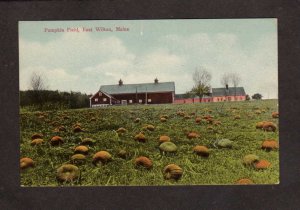 ME Pumpkin Field Farming Farm East Wilton Maine Vintage Postcard