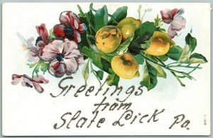 SLATE LICK PA GREETINGS EMBOSSED ANTIQUE POSTCARD