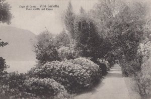 Italy Postcard - Lago Di Como - Villa Carlotta - Viale Diritto Nel Parco RS22857