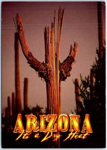 Postcard - It's a Dry Heat - Arizona
