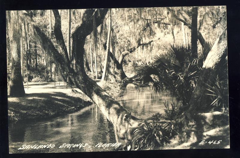 Sanlando Springs, Florida/FL Postcard, Trees Along Water, Glossy Photo Postcard