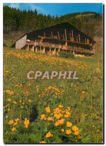 Postcard Modern Val d'Abondance Haute Savoie