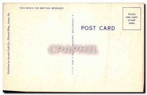 Postcard Old Florida Orange Grove