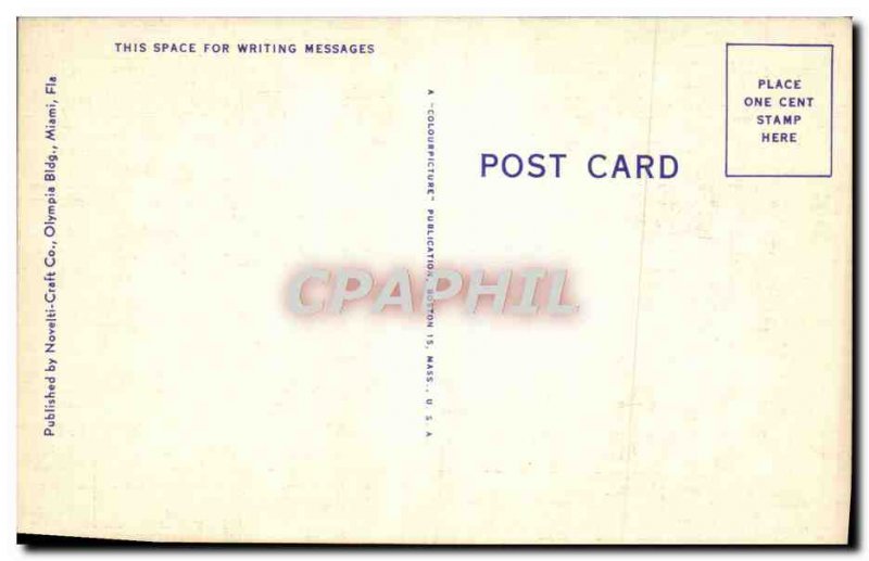 Postcard Old Florida Orange Grove