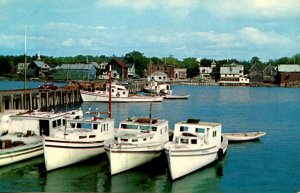 Canada - New Brunswick. Fishing Boats in Harbor