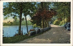 HOLDERNESS NH Asquam Lake Along the Lake Shore Vintage Postcard