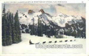 Mount rainier National Park, WA USA Ski, Skiing Unused light wear close to gr...