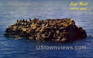 Seal Rocks - Santa Cruz, California CA  
