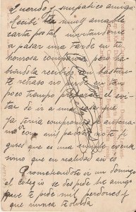 Park Landscape Old vintge German photo postcard