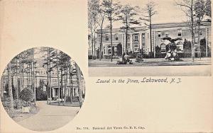 LAKEWOOD NJ~LAUREL IN THE PINES-DOUBLE IMAGE NAC #778 PHOTO POSTCARD 1900s