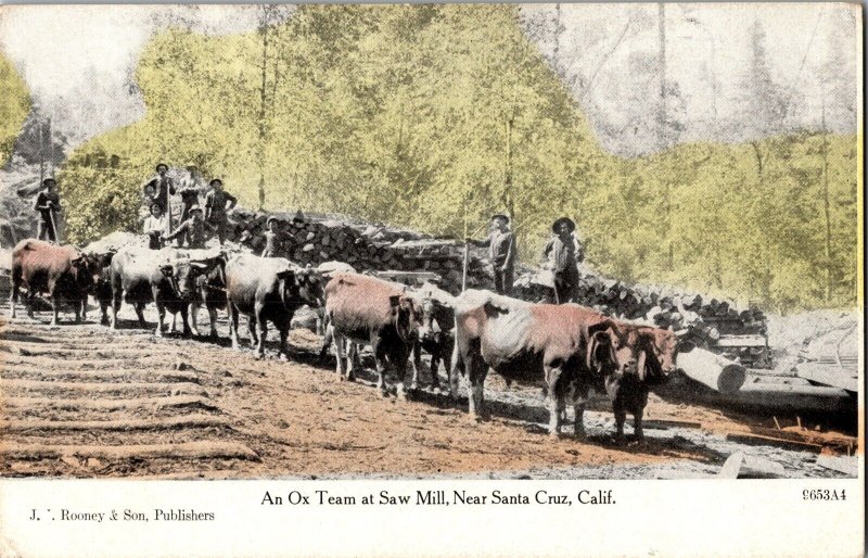 Ox Team at Saw Mill Near Santa Cruz CA Vintage Postcard P43 