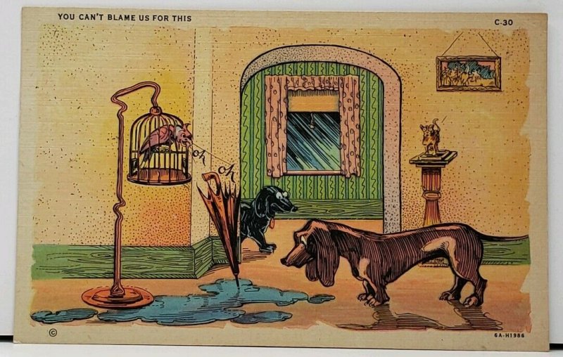 Bird Says Oh Oh Dog Say You Can't Blame Us Water from Umbrella Postcard E8