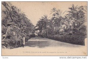 Propriete De M. Landon De Longueville, Les Jardins, Biskra, Algeria, Africa, ...