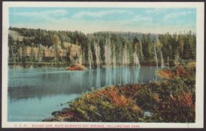 Beaver Dam,Yellowstone Postcard