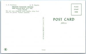 LARGO, Florida  FL   Roadside  ORANGE BLOSSOM GROVES  ca 1950s Cars Postcard