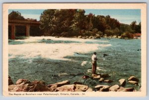 Rapids At Buckhorn Near Peterborough Ontario Canada, Vintage PECO Postcard