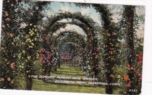 Connecticut Hartford The Dorothy Perkins Rose Garden Elizabeth Park 1913