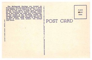 Postcard GARDEN SCENE Mobile Alabama AL AP4596