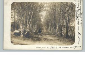 PETERSHAM MA Lovers Lane c1910 Real Photo RPPC